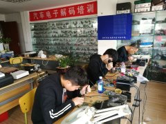 毛片大雞吧操逼逼